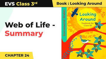 Web of Life - Summary | Class 3 EVS Chapter 24 | CBSE 2024_25