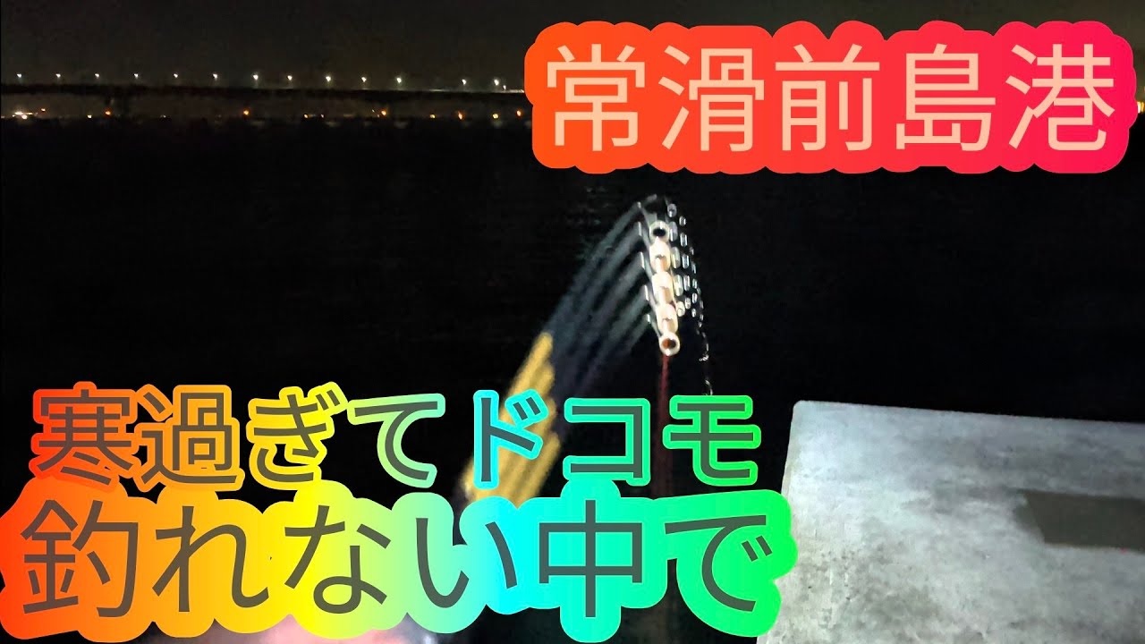 寒過ぎてドコモ釣れてないので常滑前島港に来てみたら…愛知県 知多半島 伊勢湾 海釣り fishing ロックフィッシュ カサゴ メバル
