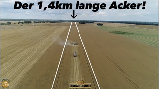 Der 1,4Km Lange Acker! 1700Ha Getreide Großeinsatz Getreideernte Team Westhoff Agrar Roggen Dreschen