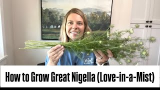 Growing Nigella with LONG Stems! : love in a mist : cool flower : hardy annual : zone 5