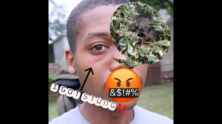 Bald-faced hornet nest vs Drone *epic fail*