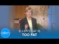 Ellen&#39;s Cat is Too Fat