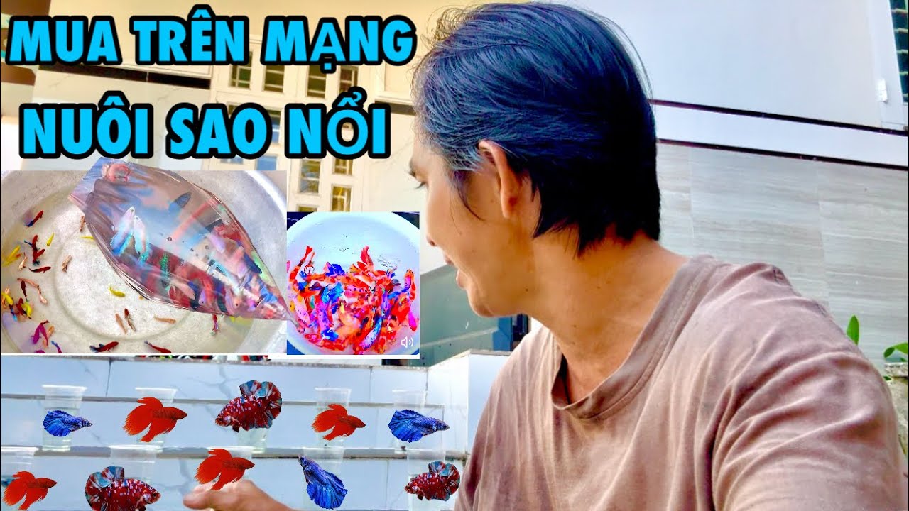 Thử Dùng 250k Để Mua Lia Thia Trên Mạng Kết Quả Thật Bất Ngờ |ATK