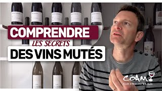 Les Secrets Des Vins Mutés Expliqués En 7 Minutes