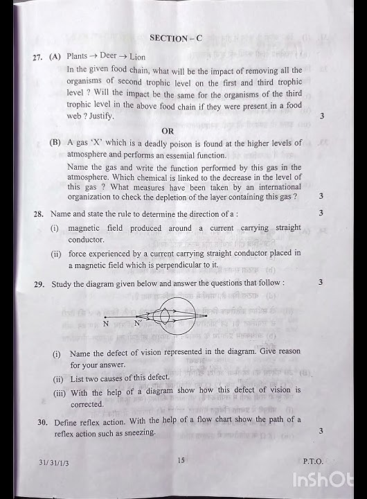 Sample paper