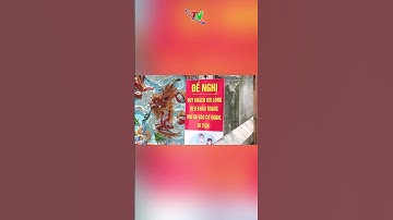 Chưa thể chấm dứt đại dịch Covid-19 #shorts