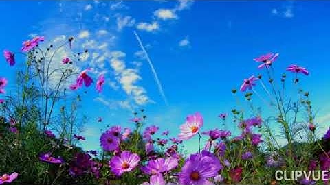 ماتيسر من سورة الدخان بصوت الشيخ إسلام صبحي..🍃