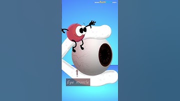 Can Sneezing make our Eyes Pop Out? | #aumsum #kids #shorts #whatif