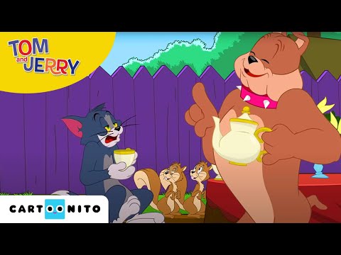 Tom und Jerry | Träum weiter | Cartoonito