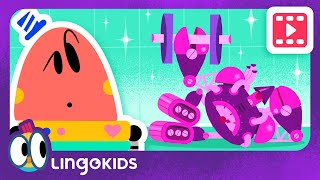 BABY BOT knows ROBOTS  Cartoons for Kids | Lingokids | S1.E13