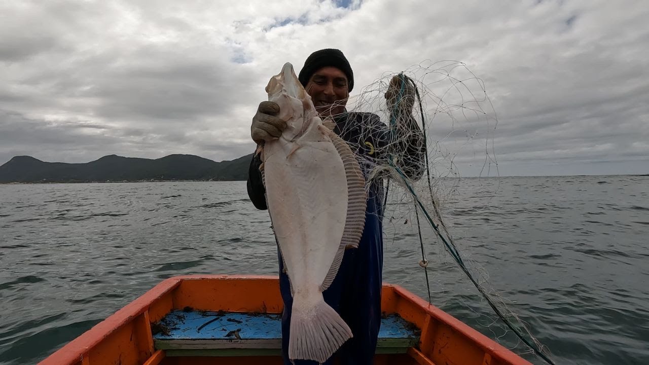 PESCARIA DE LINGUADO - Linguado Frito no Azeite, Manteiga e Alcaparras