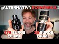 ¡ALTERNATIVA ECONÓMICA A DIOR SAUVAGE ELIXIR! LATTAFA ASAD!💥