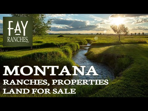 The Ultimate Pheasant Hunt, Lake Andes South Dakota