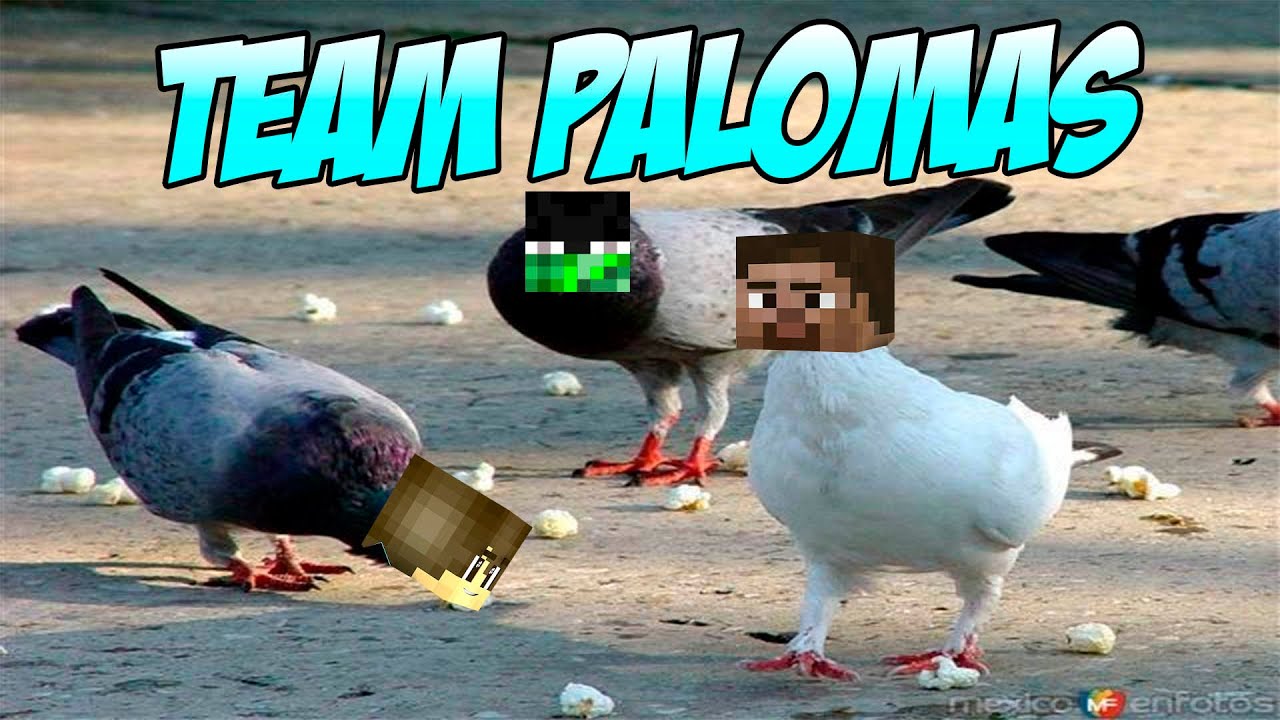 EL TEAM PALOMAS - Skywars Con ElSirKael y TheDaarick90578 minecraft
