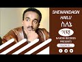 Ref:S74OkaFhNus Shewandagn hailu - silene -           -     - ethiopian music