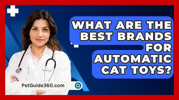 What Are The Best Brands For Automatic Cat Toys? - PetGuide360.com