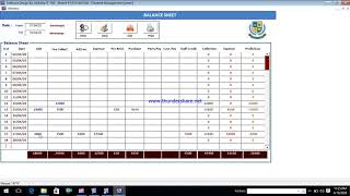 Balance Sheet screenshot 2