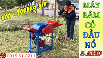Máy Băm Cỏ 7TA Sử Dụng Đầu Nổ Đồng Hành Cùng Bà Con Đi Muôn Nơi