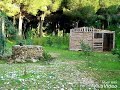 سمعت الشمس تهمس همس صباح الخير سوريا سمعت الشمس تهمس همس صباح الخير سوريا