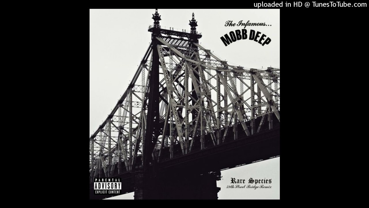 Mobb DeepRare Species (DJ Shawne Blend God Remix) SoSpecial