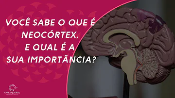 Quem tem neocórtex?
