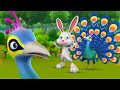 The Peacock and The Rabbit Telugu Story - నెమలి మరియు కుందేలు నీతి కధ 3D...