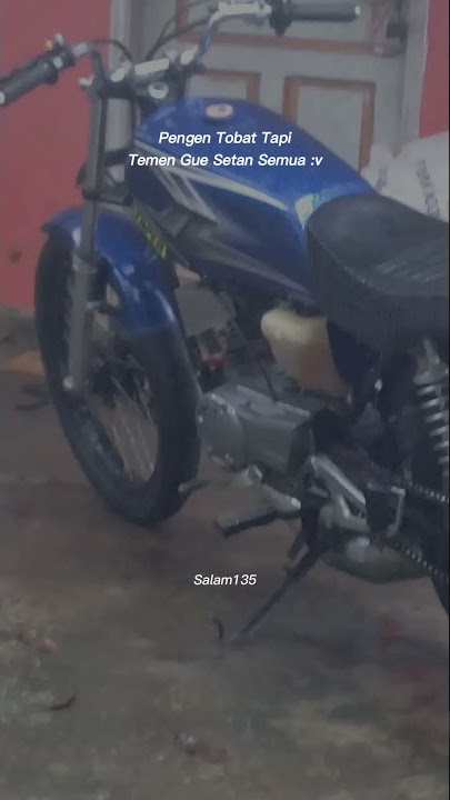 Story wa Rx king👑