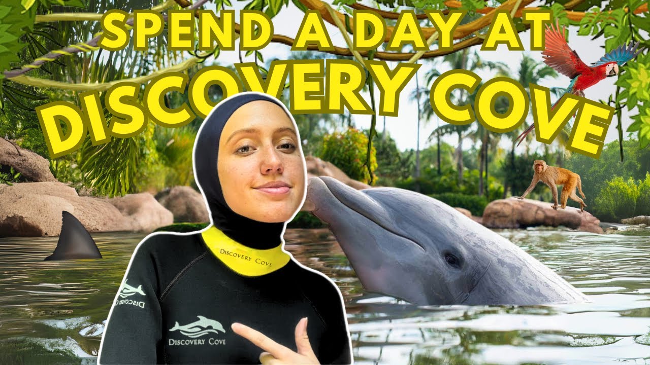DISCOVERY COVE - Travel vlog + review