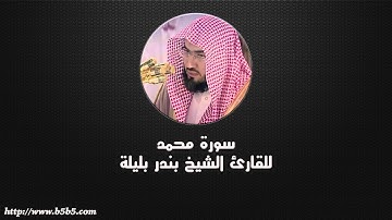 Surah Muhammad - بندر بليلة - سورة محمد
