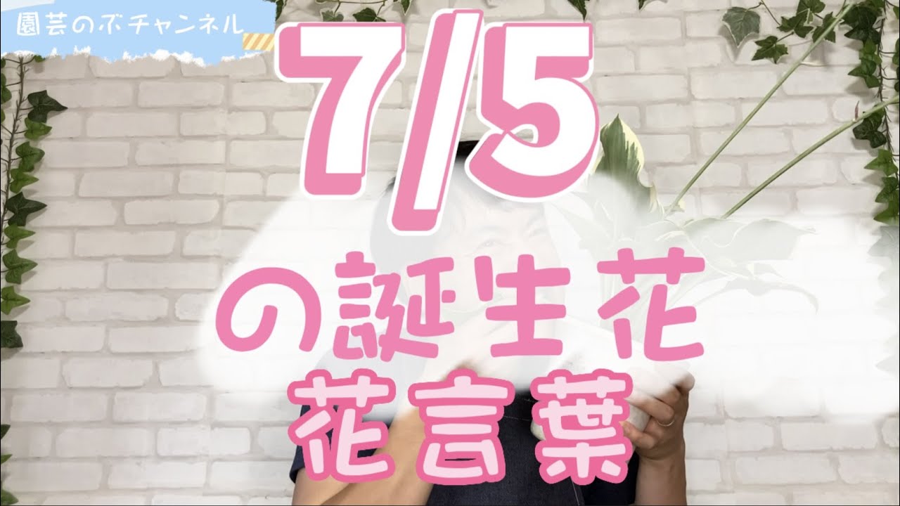 7/5の誕生花と花言葉【園芸のぶチャンネル】【7月】【5日