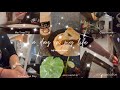 DAILY VLOG of✨ Filipina🪴HOUSEWIFE| Baking Pie 🥧| Cooking🍴🏠 Harvesting Plants 🌱Productive 🕖Morning ⛅️