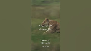 ﴿فما لهم عن التذكرة معرضين ۝ كأنهم حمر مستنفرة ۝ فرت من قسورة﴾ [المدثر: ٤٩-٥٣] بدر التركي