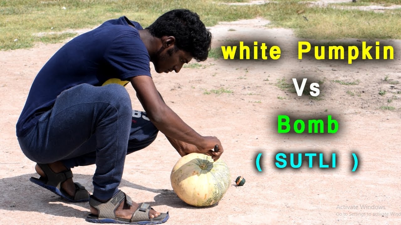 5 5 kgs white Pumpkin Vs Bomb  SUTLI | EXPERIMENTS