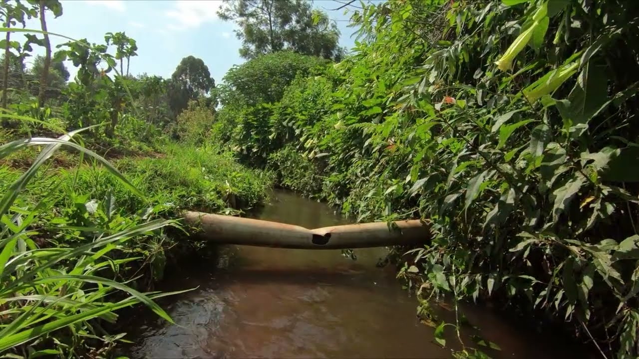 The Spirits of River Mbagathi