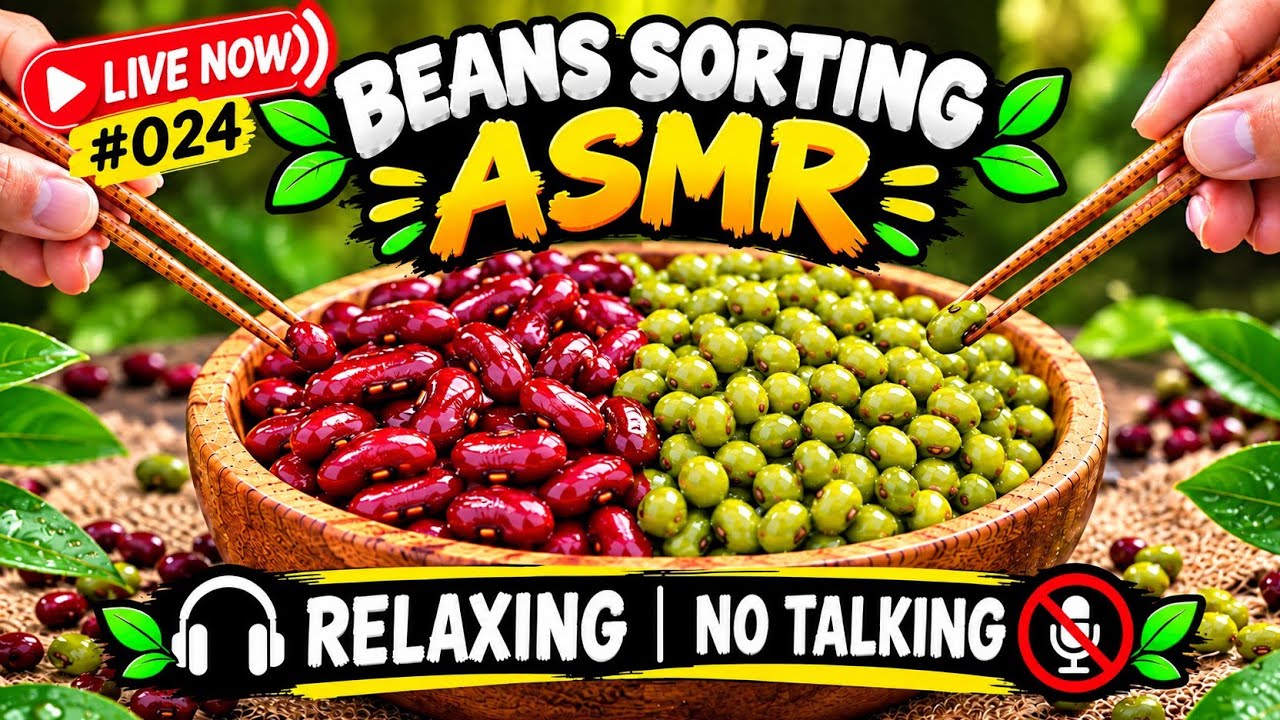 🫘LIVE Satisfying Red and Green Beans Sorting ASMR Relaxing No Talking #024