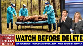 This NEW Bigfoot Footage Might End The Debate Once And For All! Caught on Camera