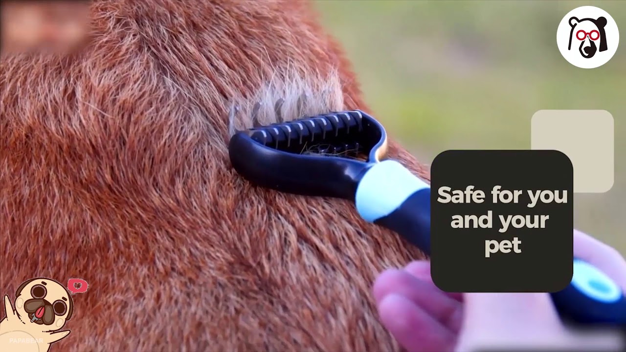 Hirundo Pet Grooming Dual Sided Comb YouTube