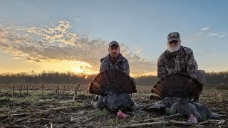 Doubled on LongBeards 