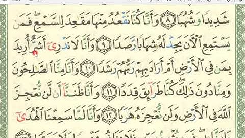 سورة الجِنِّ من 1 إلى 17 / الشيخ أحمد جمال