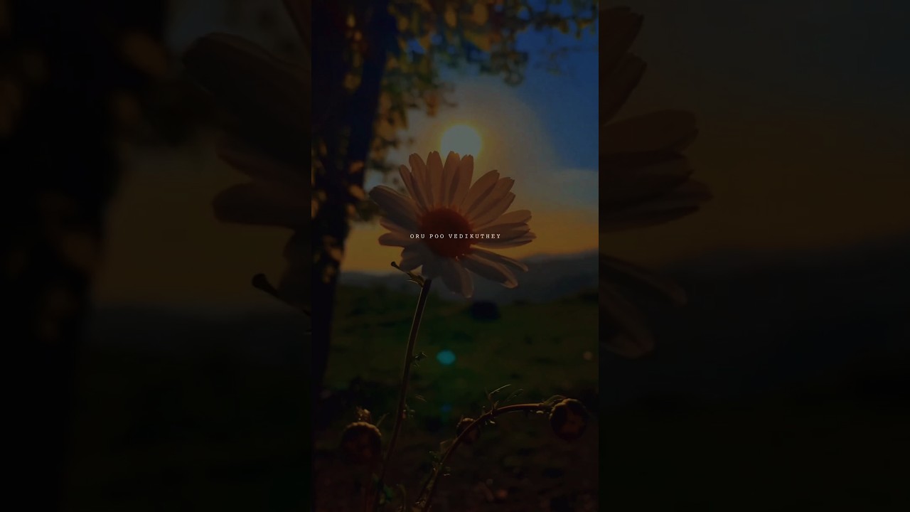 𝐒𝐈𝐑𝐀𝐆𝐔𝐆𝐀𝐋 𝐕𝐀𝐍𝐓𝐇𝐀𝐓𝐇𝐔 ..😩🥰🌏#instagram #love #song #edit #lyrics #sadsong #reels #shorts #viral #feed 🦋
