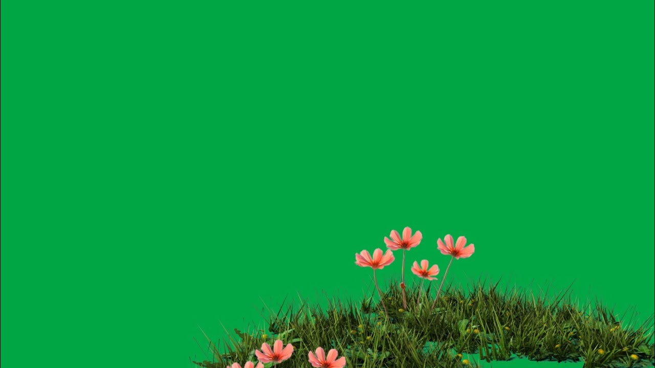 sprinkles pink flower green screen effect green screen flower effect
