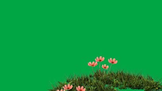 Sprinkles Pink Flower Green Screen Effect  Green Screen Flower Effect  Pink Flower Green Screen