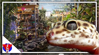 Amazing Reptile / Exotic Animal Store!