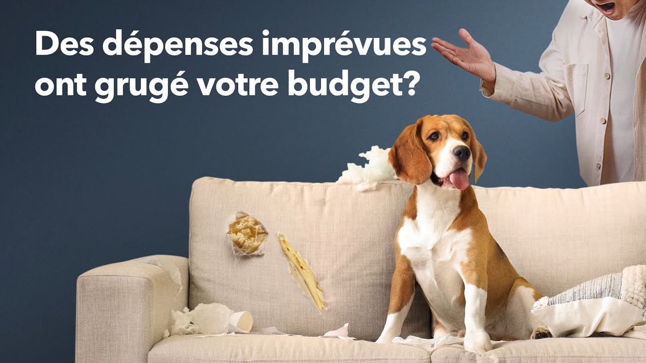 Co-operators Assurance et Services Financiers — Co-operators — Bundle Home and Auto Insurance for Savings (YouTube video ad)
