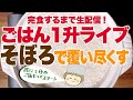 【大食い ノーカット】＃10  1升のお米をそぼろで覆い尽くして食べ尽くすまで生配信。【#ご飯１升ライブ 】【#ロシアン佐藤 】【RussianSato 】