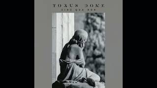 Torus Dome - Force of the Sun (dark ambient)