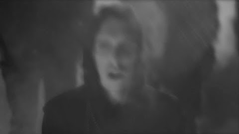 Seekae - Test & Recognise