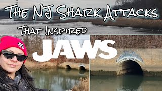 Visiting the New Jersey Shark Attack Site That Inspired Jaws