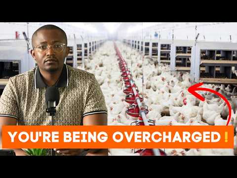 Why Does Chicken Cost So Much in South Africa? The Full Story #ChickenTax