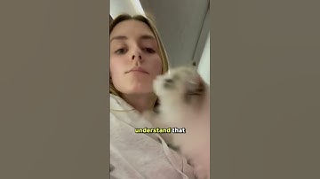 How to win a clingy cat #tutorial